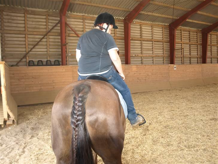 Anden særlig race Saigon *Solgt* - Saigon og Mig bagfra lige lige mærke til halen billede 4