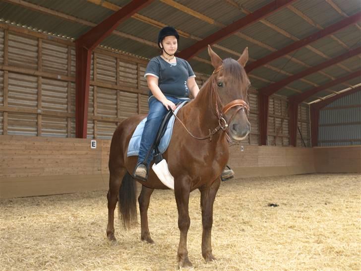 Anden særlig race Saigon *Solgt* - Saigon og Mig billede 5