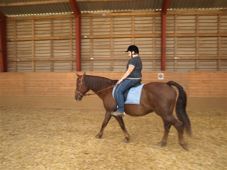 Anden særlig race Saigon *Solgt* - Saigon og Mig billede 6