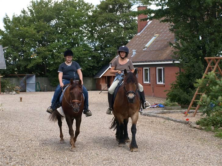 Anden særlig race Saigon *Solgt* - På vej på Tur Sammen med Eva og Delica (Nord Svensk) billede 7