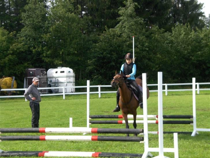 Welsh Pony (sec B) Leonie I LOVE YOU!(solgt) - uhuuuuuuuuuuuuuuuu ! hvor sjovt billede 11