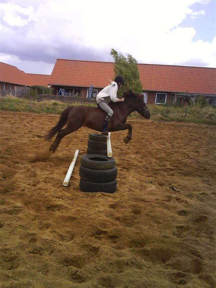 Anden særlig race Basse *SOLGT :'( * billede 6