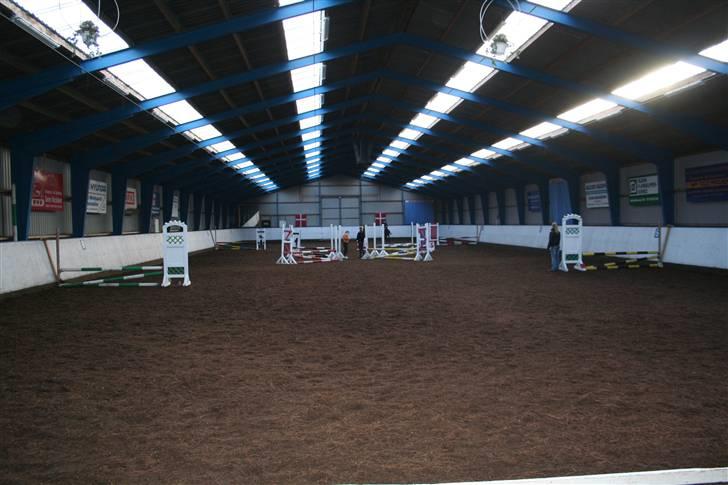 New Forest Lucky Lunde - vores første uden bys springbane billede 5