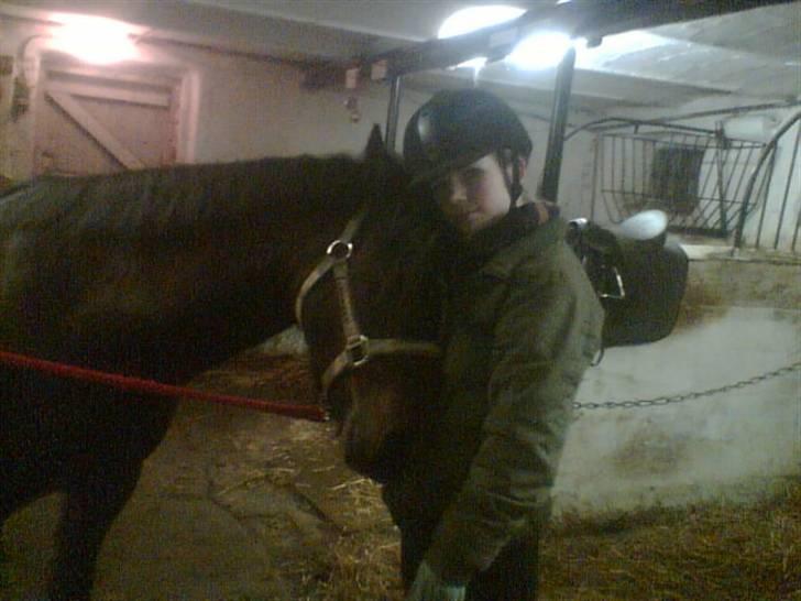 New Forest Lucky Lunde - putte  billede 6