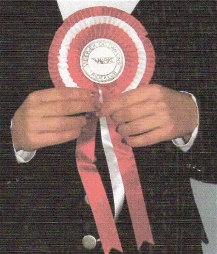 New Forest Lucky Lunde - vores første roset. billede 13