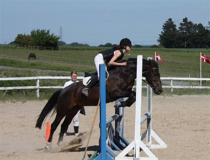 Anden særlig race Voldbjerggårds Musse - Musse og jeg LB mener jeg. 2009 Foto: Mor billede 11