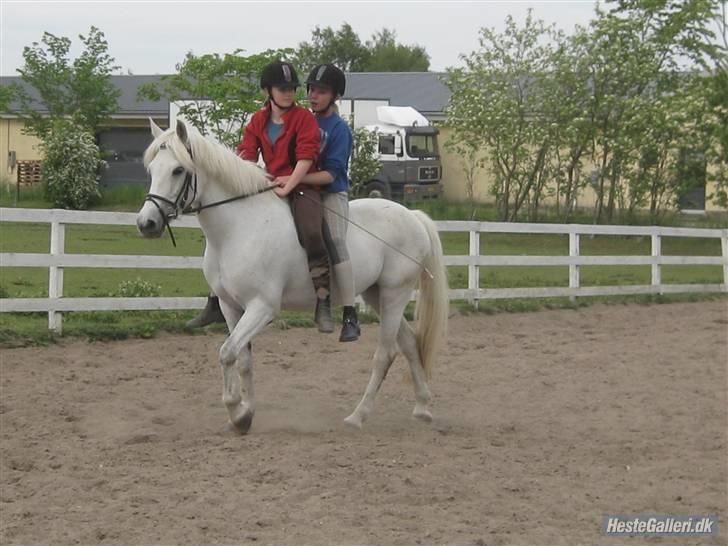 Connemara Amidas<3 - Mig og Ida rider min dejlige pony(: <3 billede 7