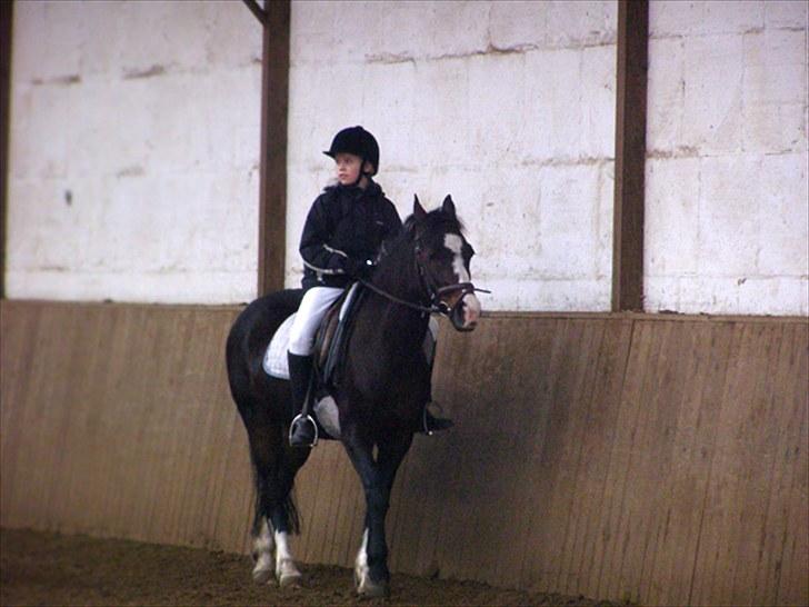 Connemara Sylvia | RIDER IKKE MERE - Skridter af, efter at vi har redet et lille holdprogram | Foto: Min Mor | MÅ IKKE KOPIERES! billede 15