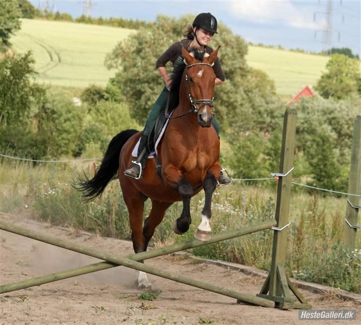 Anden særlig race Makir billede 3