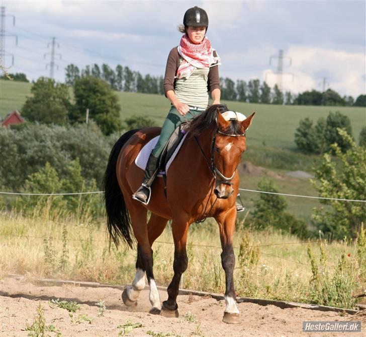 Anden særlig race Makir billede 8