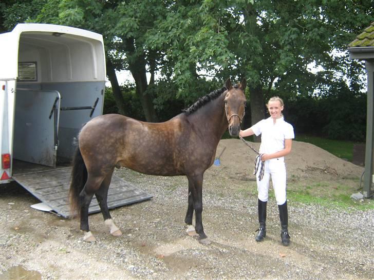 Anden særlig race » Elvis R.I.P - 16 ¬ Lige kommet hjem fra ØRSR 23 Aug 2008. Anni Asp Laursen billede 16
