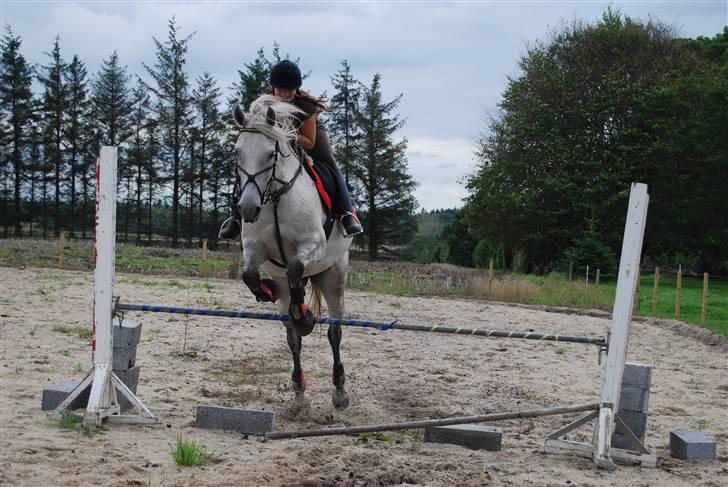 Anden særlig race Donna <3 SOLGT! /': - Smukt! - Andet er der vidst ikke at sige xD billede 2