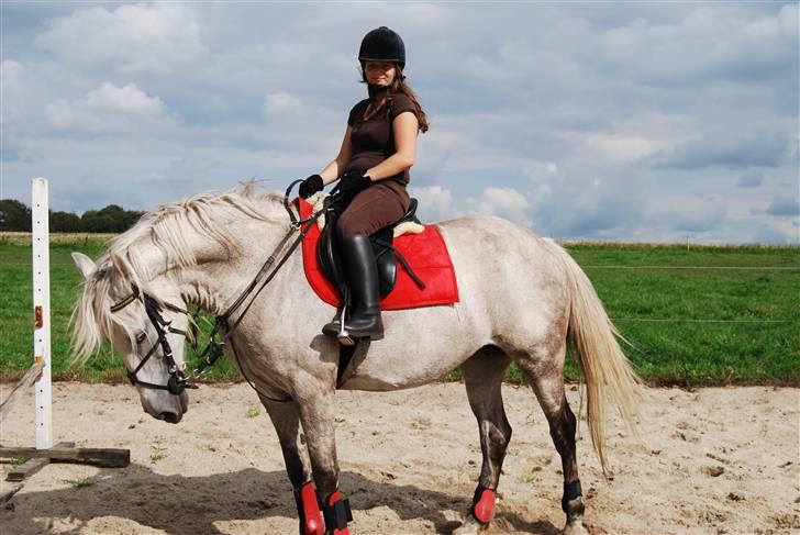 Anden særlig race Donna <3 SOLGT! /': - Smukke piger :D <3 billede 4