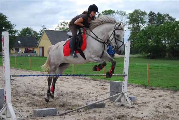 Anden særlig race Donna <3 SOLGT! /': - Spriiing :) 23. aug. 2008! billede 5