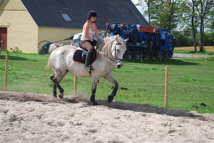 Anden særlig race Donna <3 SOLGT! /': billede 11