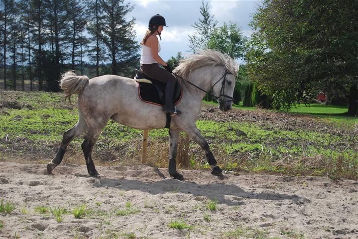 Anden særlig race Donna <3 SOLGT! /': billede 12