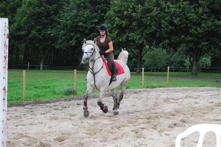 Anden særlig race Donna <3 SOLGT! /': - På vej hen mod springet :) jubiiii :b billede 17