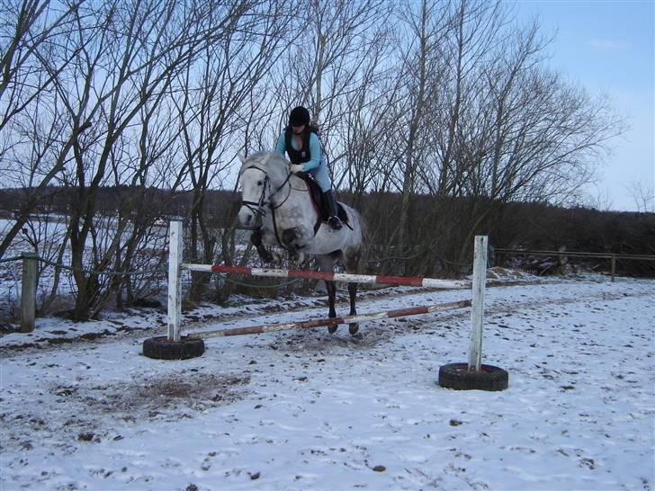 Anden særlig race Donna <3 SOLGT! /': - Vi springer tilbage i 2006 :) billede 18