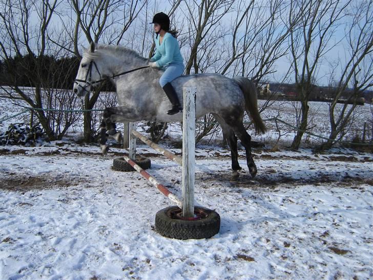 Anden særlig race Donna <3 SOLGT! /': - Her springer vi uden sadel :) Dato: Marts 2006! billede 19