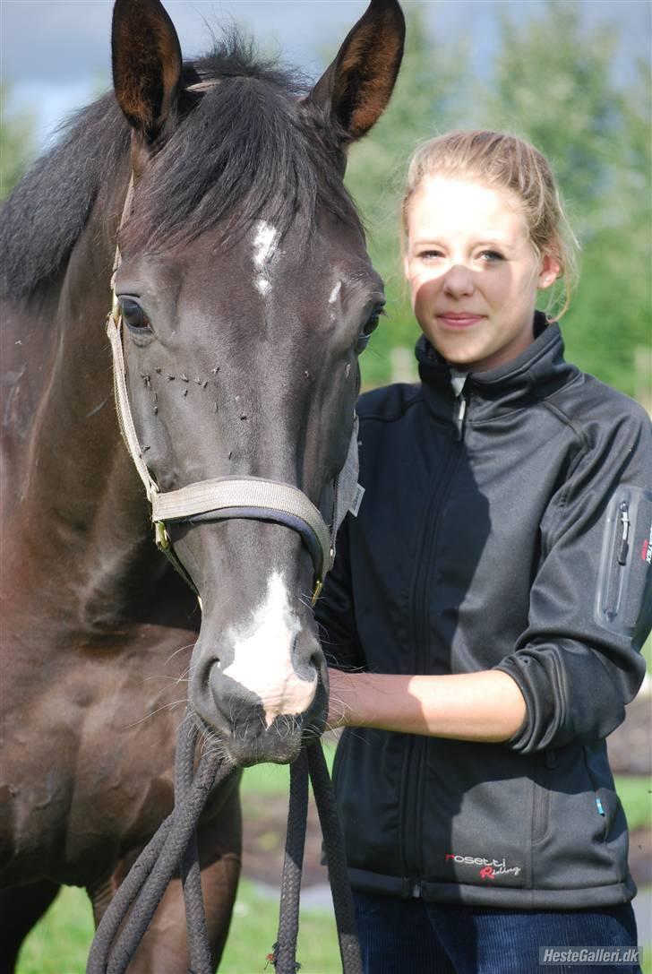 Hannoveraner Weltonas Star † - din varme at være dig så nær at mærke dig tæt,- tæt jeg ved det er farligt for en dag er du væk og varmen vil aldrig kunne findes igen ... billede 5