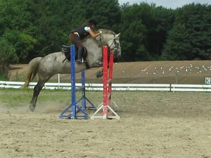 Anden særlig race Donna <3 SOLGT! /': - Donna og mig på MHSR i 2006 :) billede 20