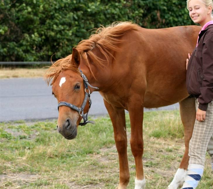 Anden særlig race | Odin - SOLGT. - Hmmf! - foto: emma <3 billede 5