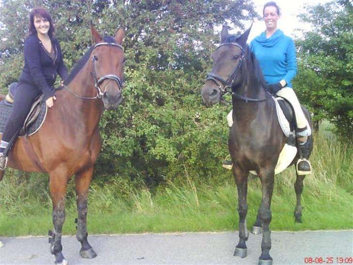 Traver Fasten Seat Belt  R.I.P. - Facer&Charlotte Og Mary&Anja. billede 17