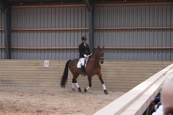 Oldenborg flexie vestergård - stævne : Rideklub vestsjælland .  billede 6