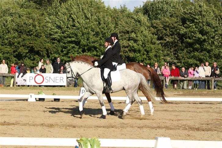 Connemara Banks Miro - Mig og Miro og Tit og Fiona red pas de deux til Kærbo´s royale arrangement (; billede 17