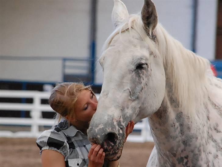 Knabstrupper Coco´s Irish Candy *YNGLINGS HEST* - emma og candy <3 billede 6