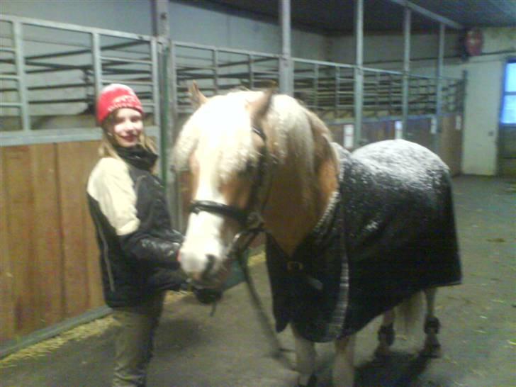 Anden særlig race Bailey  - Bailey og ida havde lige gået en tur ude i sneen :) billede 10