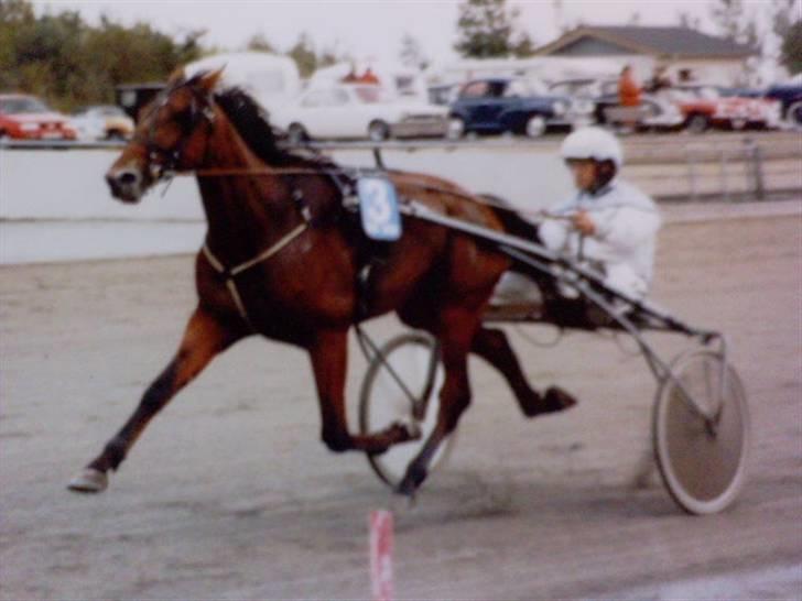 Traver - Odin Å - 1: Velkommen til Odins profil. Smid gerne en bedømmelse og giv en kommentar :) billede 1