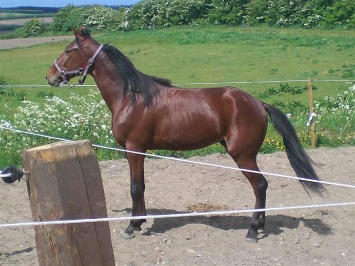 Traver - Odin Å - 5: Wow! ö - Lækker, lækker, lækker? <3 billede 5