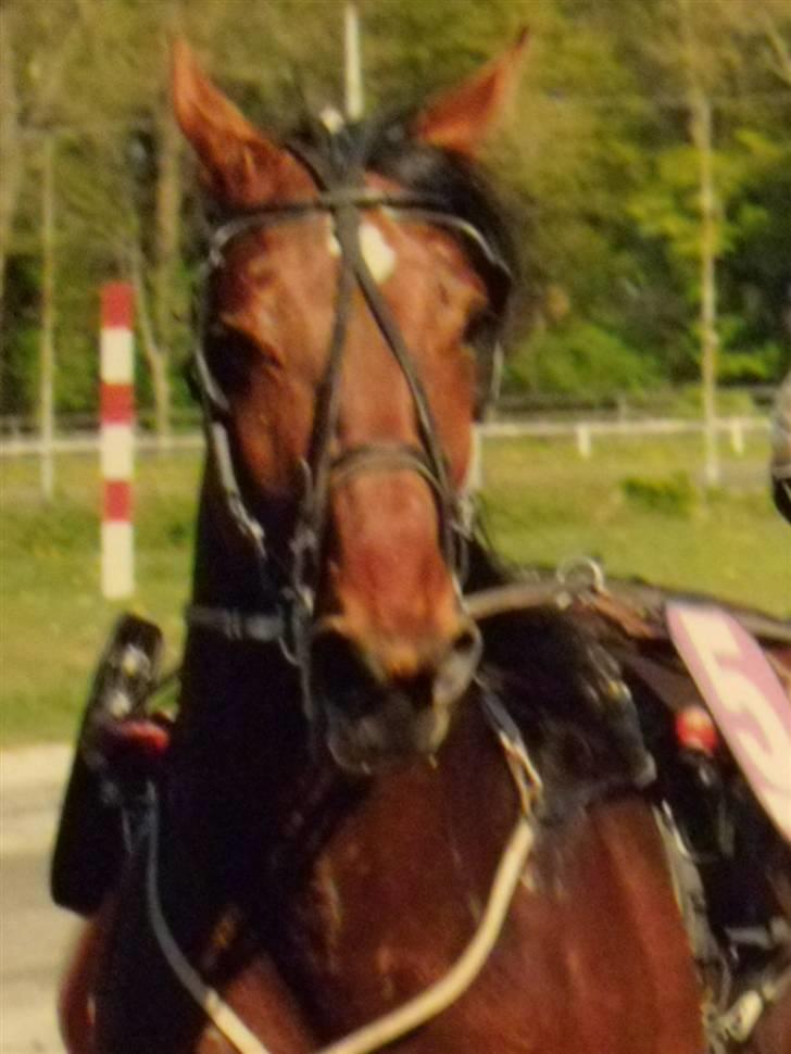 Traver - Odin Å - 6: Århus d. 1 maj - VANDT, stort endda xD. billede 6