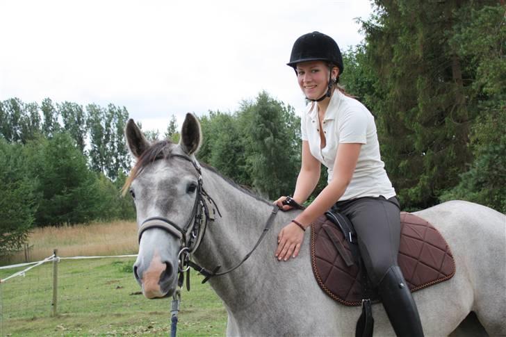 Trakehner Princessa - Første gang jeg sidder på ryggen af hende :D billede 6