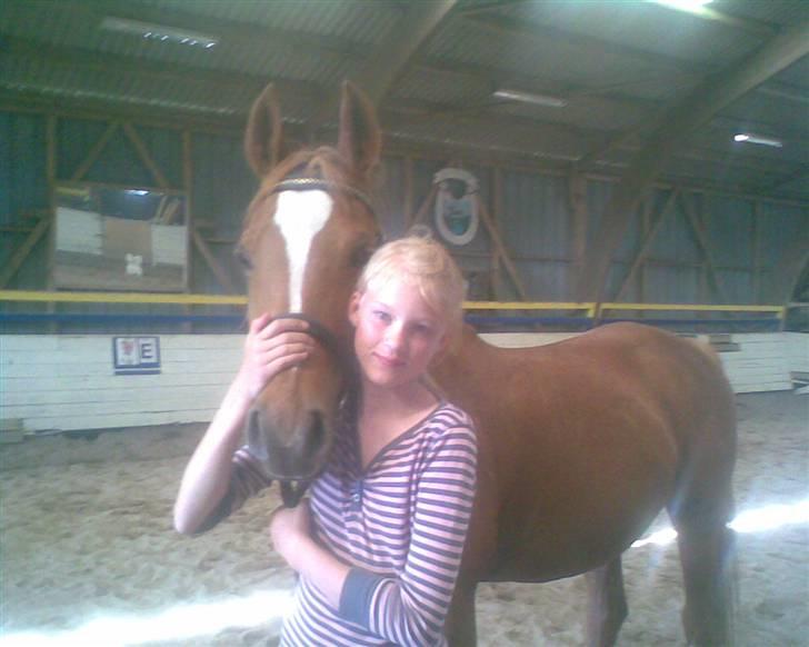 Sportsaraber (A) Misty billede 4