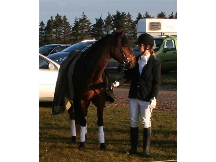 {{currentPhoto.altText}} billede {{currentPhoto.number}}