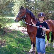 Anden særlig race Filur...