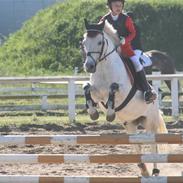 Anden særlig race Choko Prins solgt :-( <3