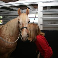 Anden særlig race Golden Star (solgt)