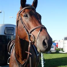 Oldenborg Thorup's Ulton