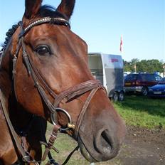 Oldenborg Thorup's Ulton