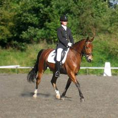 Anden særlig race Fernando B-pony - R.I.P...