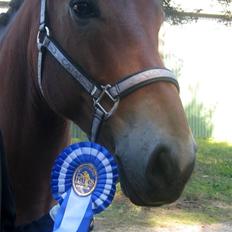 Anden særlig race Fernando B-pony - R.I.P...