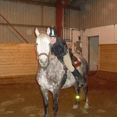 Anden særlig race Macy Gray *gl. halvpart* 