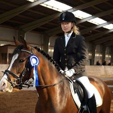 DSP Burtons (amazing) spirit 