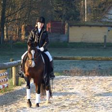 DSP Burtons (amazing) spirit 