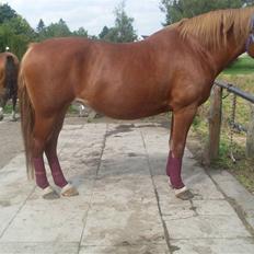 Frederiksborg Lanet Fuglebjerg