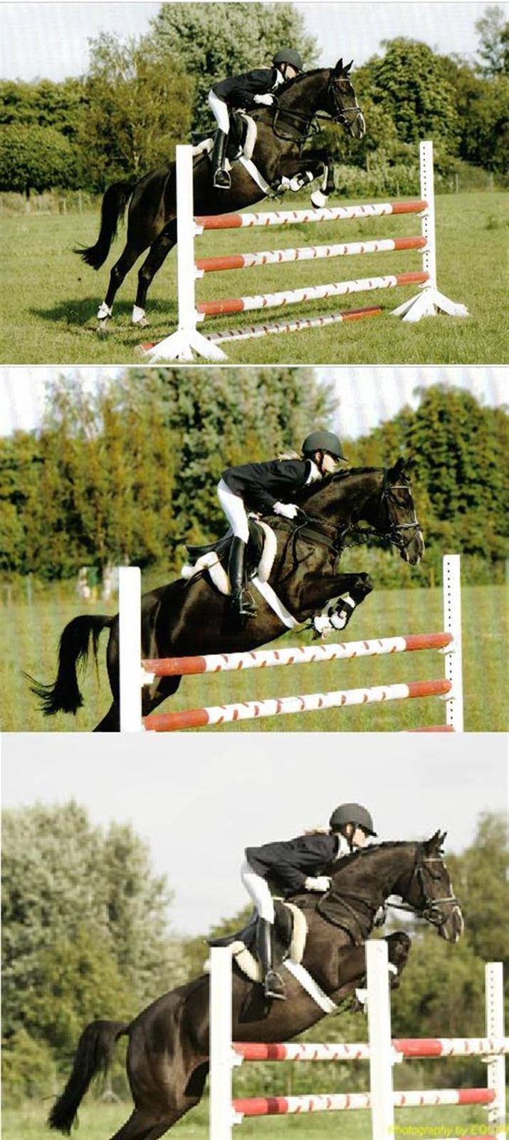 Tysk Sportspony Akrobatin S - Springpicture of the little girl <3 billede 2