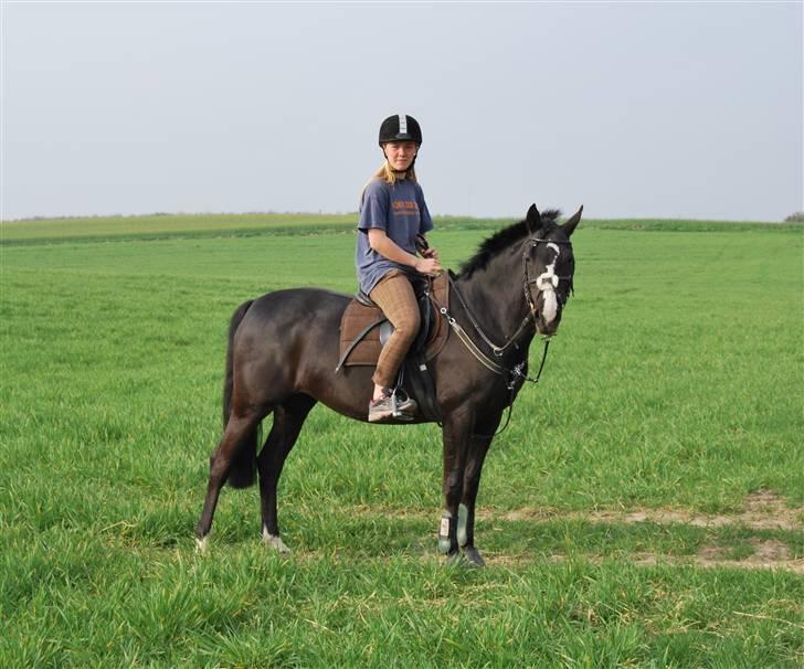 Tysk Sportspony Akrobatin S - Me and Akro<3 billede 9